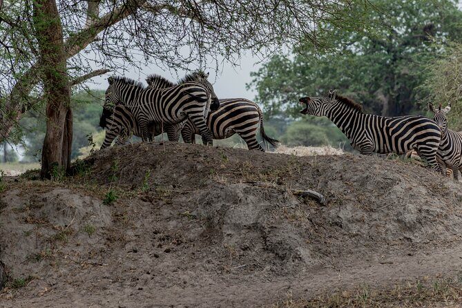 3-Day / 2 Nights Group Safari Serengeti & Ngorongoro Crater - What’s Included and What’s Not