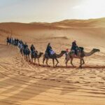 3-Day Adventure: Merzouga Desert, from Marrakech to Fez - Final Thoughts: Who Is This Tour For?