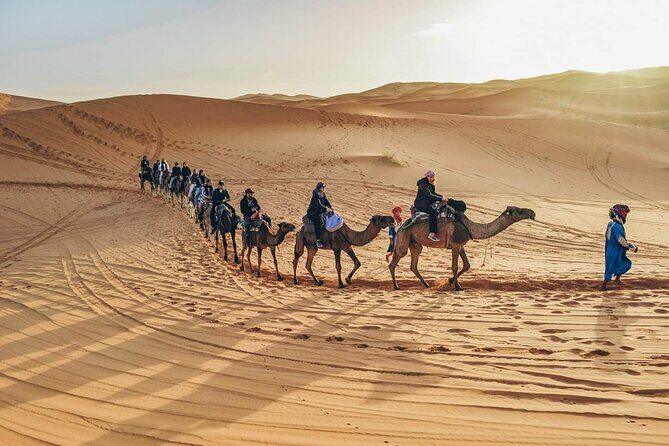 3-Day Adventure: Merzouga Desert, from Marrakech to Fez - Final Thoughts: Who Is This Tour For?