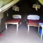 3-DAY Best Maasai Mara Safari (POPULAR) - Practical Aspects and What to Expect