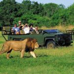 3 Day Big 5 and Bungee Tour - Garden Route Small Group Tour from Cape Town - Transportation & Accommodation