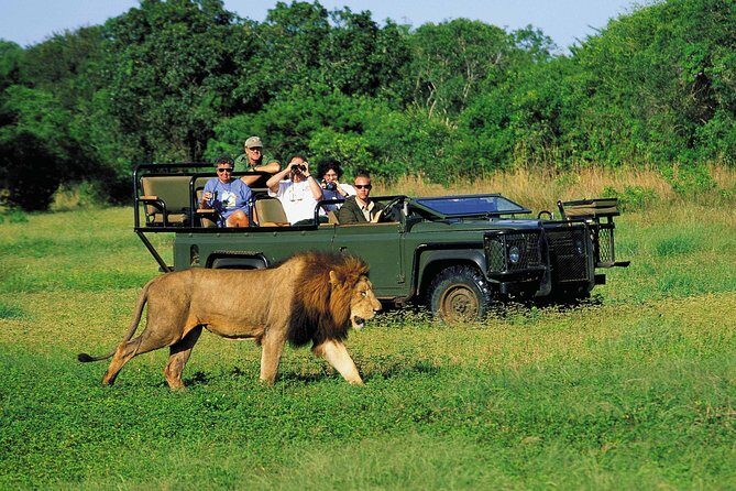 3 Day Big 5 and Bungee Tour - Garden Route Small Group Tour from Cape Town - Transportation & Accommodation