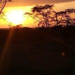 3-day Budget Safari To Maasai Mara - Detailed Breakdown of the Itinerary