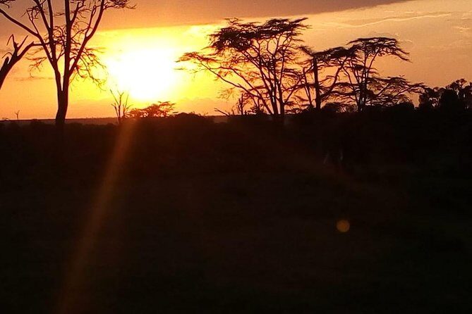 3-day Budget Safari To Maasai Mara - Detailed Breakdown of the Itinerary
