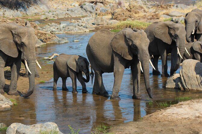 3-Day Camping Safari Tarangire, Lake Manyara & Ngorongoro crater - What Makes This Safari Special?