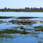 3 Day Chobe National Park Camping Safari - Authentic Experiences and Insights from Reviews