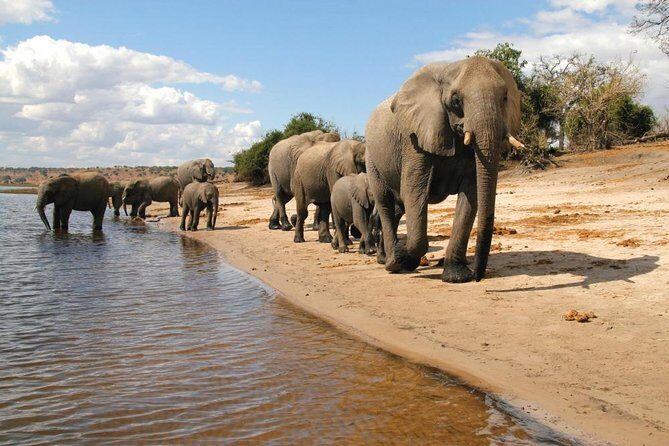 3 Day Chobe National Park Camping Tour - Practical Details You Should Know