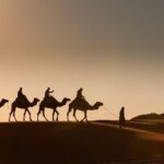 3-Day Desert Experience from Marrakech - What You’ll Love About This Tour