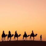 3-Day Desert Tour: Marrakech to Fes via Merzouga - Who Will Love This Tour?