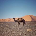 3-Day desert tour Marrakech to Fes via Merzouga - Hollywood of Africa: Ouarzazate