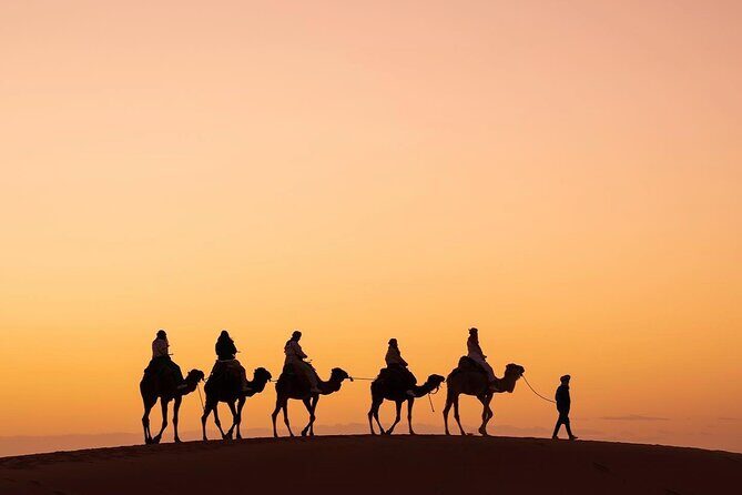3-Day Desert Tour: Marrakech to Fes via Merzouga - Who Will Love This Tour?