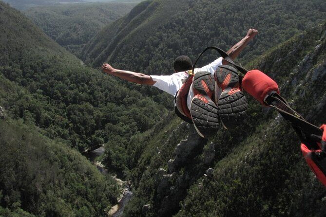 3 Day Garden Route Tour - What Could Be Improved?