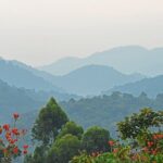 3 Day Guided Gorilla Tracking Safari At Bwindi National Park - Day 3: Scenic Return & Cultural Stops