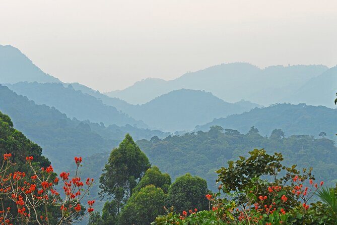 3 Day Guided Gorilla Tracking Safari At Bwindi National Park - Day 3: Scenic Return & Cultural Stops