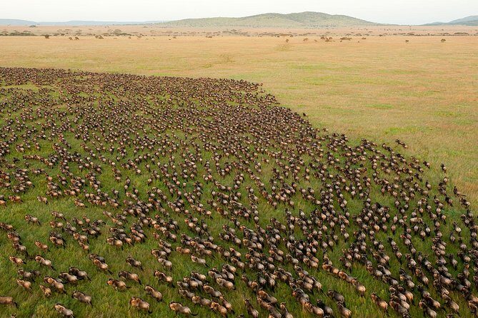 3 Day Joined Group Mid-range Safari Serengeti and Ngorongoro National Park - Frequently Asked Questions