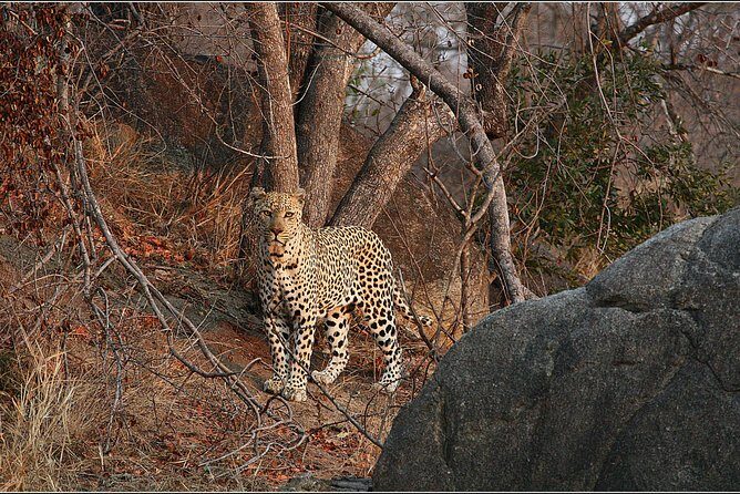 3 Day Kruger National Park and Crocodile River Safari - What Makes This Tour Stand Out?