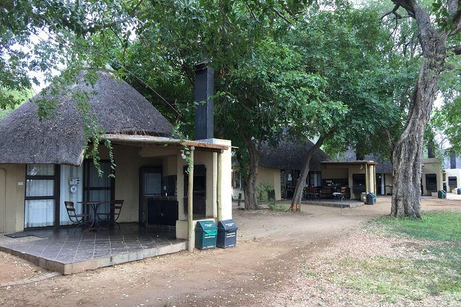 3-Day Kruger National Park Open Vehicle Safari - The Value of Guided Game Drives