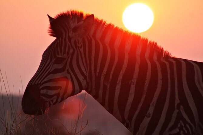 3 Day Kruger National Park tour - The Accommodation & Meals: Comfort Meets Simplicity