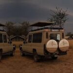 3 Day Lake Manyara, Ngorongoro crater, Tarangire Safari - Transportation & Guides