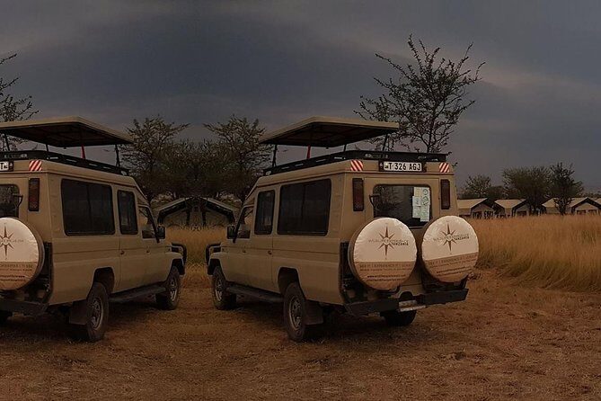 3 Day Lake Manyara, Ngorongoro crater, Tarangire Safari - Transportation & Guides