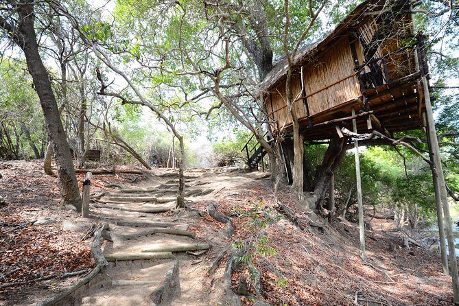 3 Day Lodge/Treehouse Kruger National Park Safari - FAQ