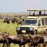 3 Day Maasai Mara Group Joining Camping Safari - Daily Departures - What’s Included and What’s Not