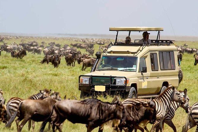 3 Day Maasai Mara Group Joining Camping Safari - Daily Departures - What’s Included and What’s Not