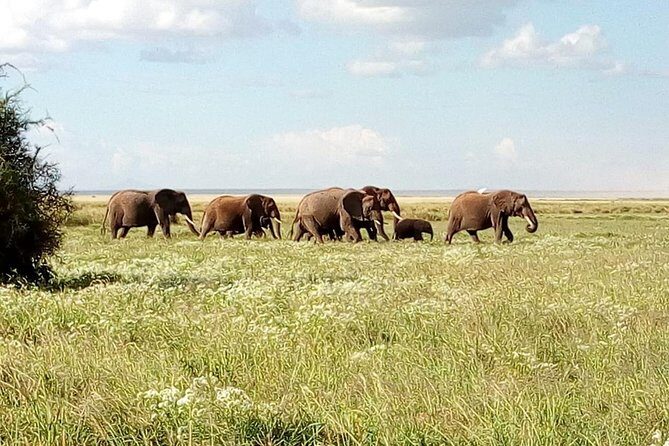 3 Day Maasai Mara & Migration safari - Authentic Encounters and Guide Expertise