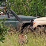 3-Day Maasai Mara Safari Tour in a 4 x4 Land Cruiser Jeep - Why the 4x4 Land Cruiser Makes a Difference