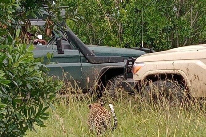 3-Day Maasai Mara Safari Tour in a 4 x4 Land Cruiser Jeep - Why the 4x4 Land Cruiser Makes a Difference