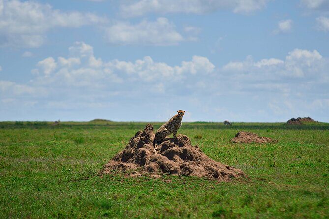3-Day Manyara, Tarangire and Ngorongoro Crater - The Practicalities: What’s Included and What’s Not