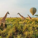 3-Day Masai Mara Budget Camping Safari - What’s Included and What to Keep in Mind