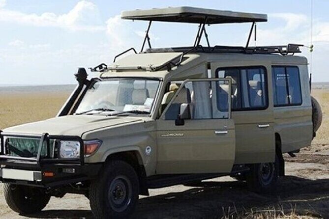 3-Day Masai Mara Safari Tour - Price, Value, and Practical Tips