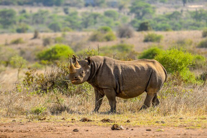 3-Day Masai Mara Wildebeest Migration 2025 - What Makes This Tour Stand Out?
