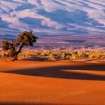 3-Day Merzouga Desert Trip From Fes To Marrakech - The Practical Side: What to Expect