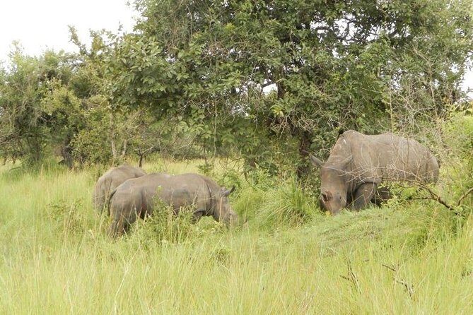 3-Day Murchison Falls National Park - Adventure Safari - The Sum Up