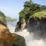 3-Day Murchison Falls Vacation Including Big 5 Sighting - What Makes This Tour Stand Out