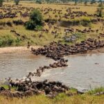 3 Day Private 4x4 Jeep Tour in Masai Mara Safari - Practical Details and What Travelers Should Know