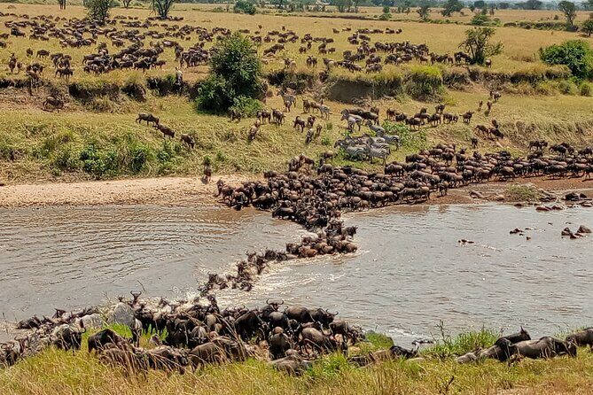 3 Day Private 4x4 Jeep Tour in Masai Mara Safari - Practical Details and What Travelers Should Know