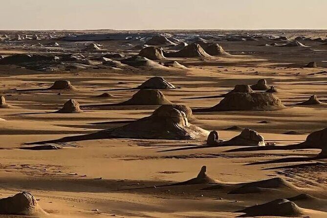 3-Day Private Camping Tour of White Desert with Cairo Pick Up - Day 1: Journey to Black Desert and Bahariya Oasis