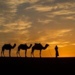 3-Day Private Morocco Desert Tour from Agadir to Erg Chigaga Dunes - Authentic Experiences and Traveler Insights