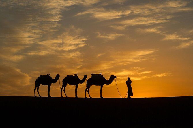 3-Day Private Morocco Desert Tour from Agadir to Erg Chigaga Dunes - Authentic Experiences and Traveler Insights