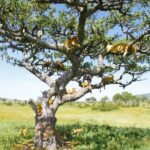 3 Day Private Safari in Serengeti and Ngorongoro National Park - The Practical Side: Transportation, Accommodation, and Value
