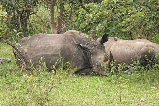 3-Day Private Safari of Murchison Falls National Park - FAQs