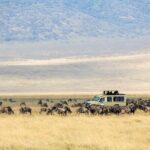3-Day Private Safari to Lake Manyara, Tarangire & Ngorongoro - Practical Details & What to Expect