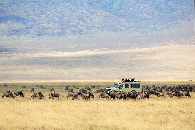3-Day Private Safari to Lake Manyara, Tarangire & Ngorongoro - Practical Details & What to Expect