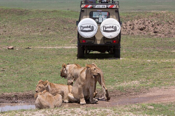 3 Day Private Serengeti Safari Tour with One Way Flight - Why This Tour Is Worth Considering