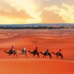 3 Day Private tour Marrakech to Merzouga Desert - Who Is This Tour Best For?
