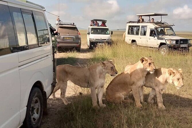 3 Day Private Wild Safari Tour in Maasai Mara - What Makes This Tour Stand Out