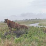 3 Day Queen Elizabeth National Park Budget Tour - What Makes This Tour Stand Out?